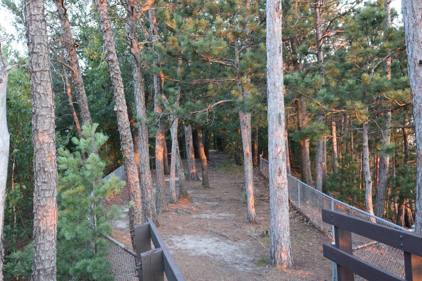 Mill Bluff State Park